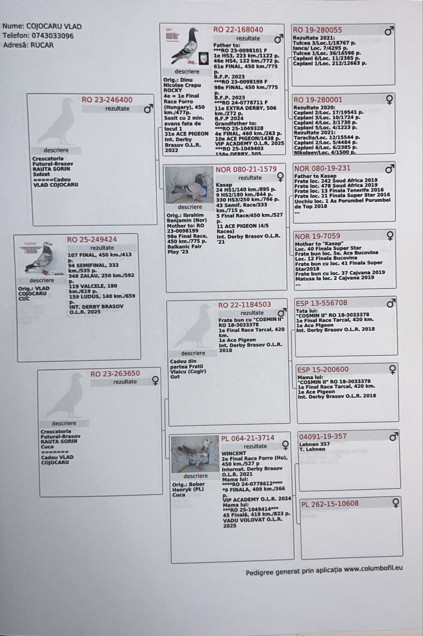 VLAD & VIOREL COJOCARU - Image 2