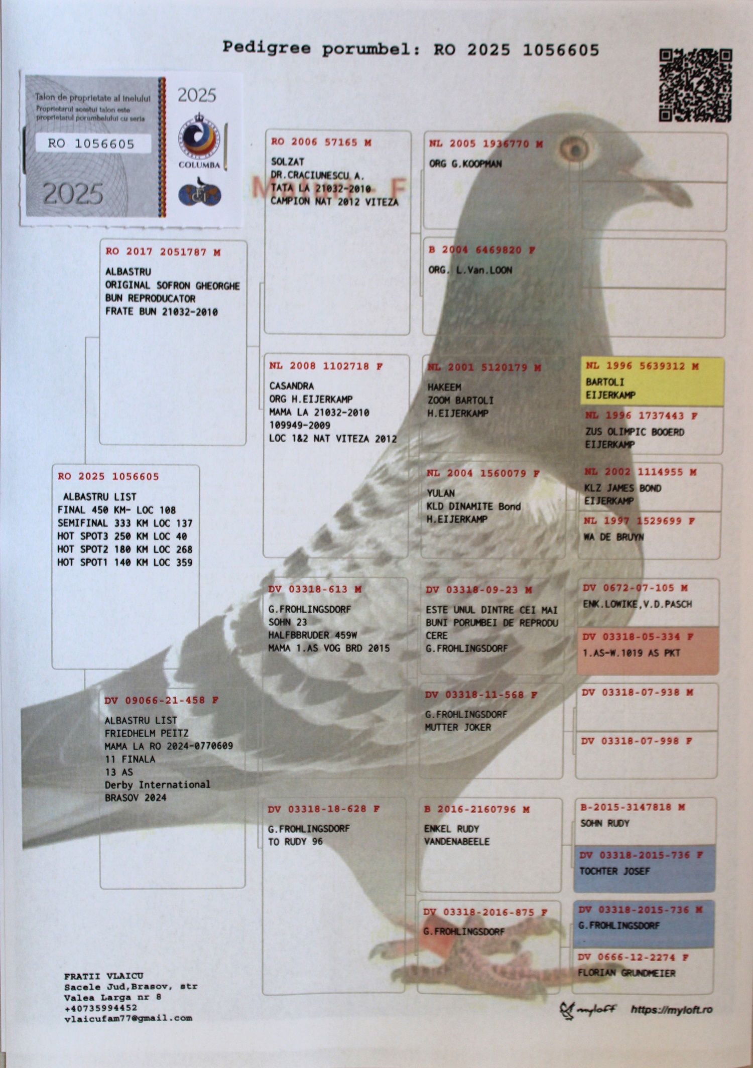 FRATII VLAICU - Image 2