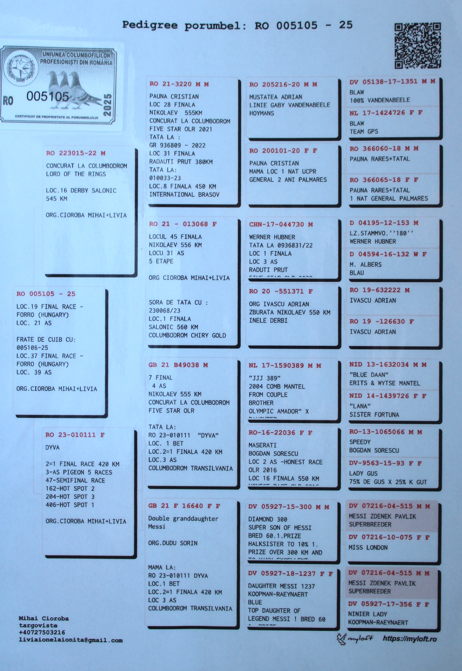 CIOROBA MIHAI & LIVIA - Image 2