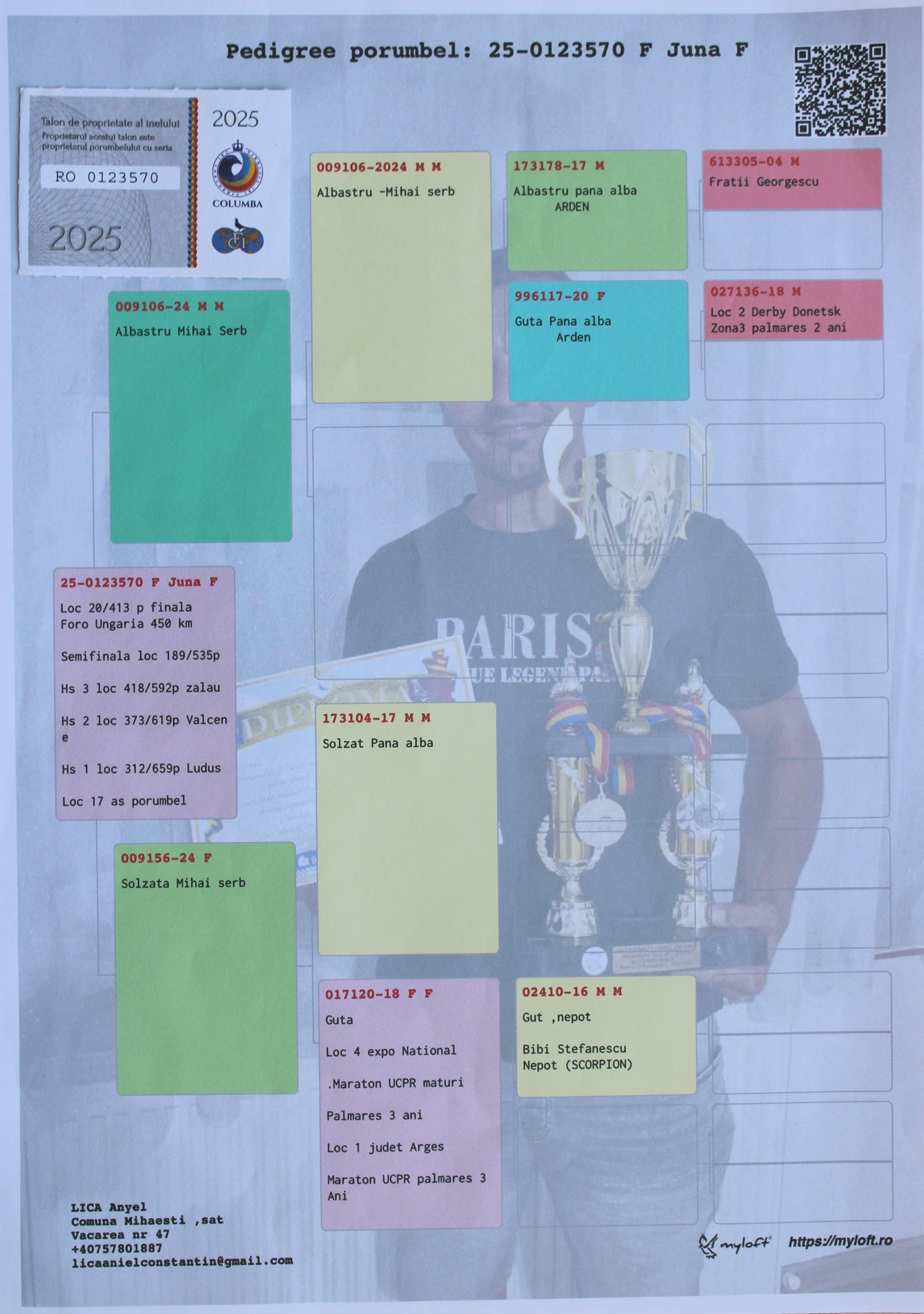 COSMINA & ANYEL - Image 2