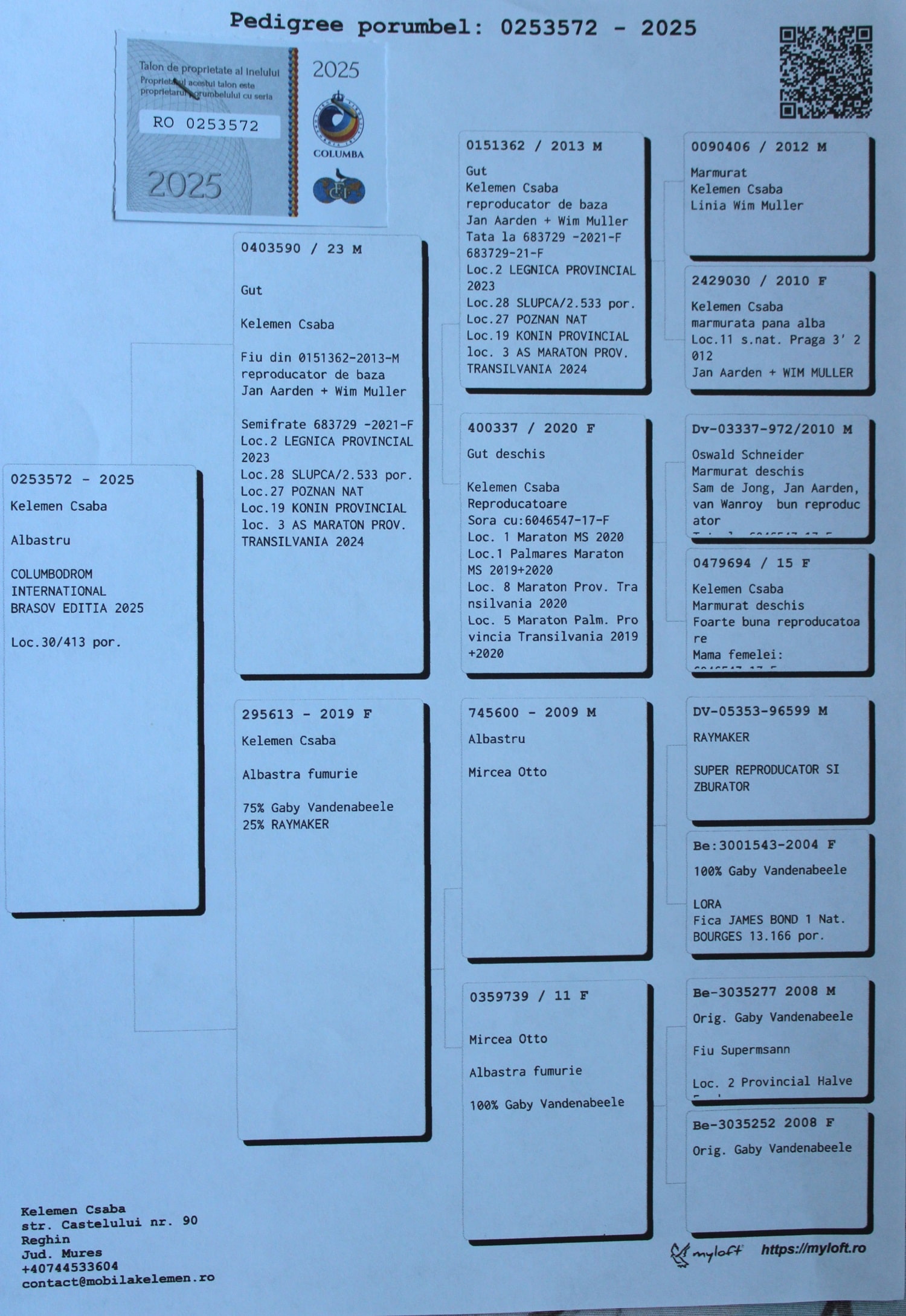 KELEMEN CSABA - Image 2