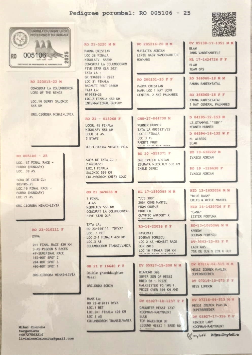 CIOROBA MIHAI & LIVIA - Image 2