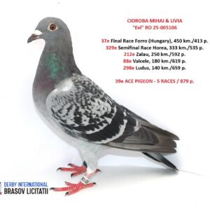 CIOROBA MIHAI & LIVIA