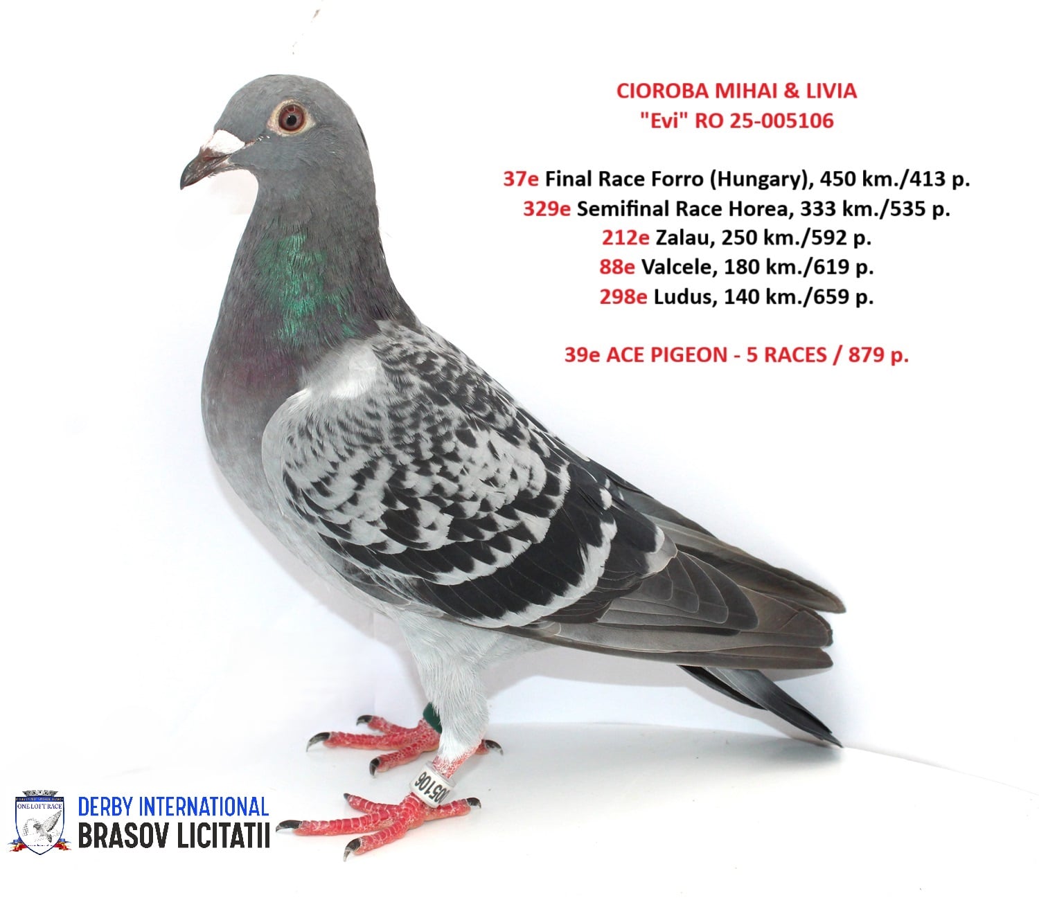 CIOROBA MIHAI & LIVIA