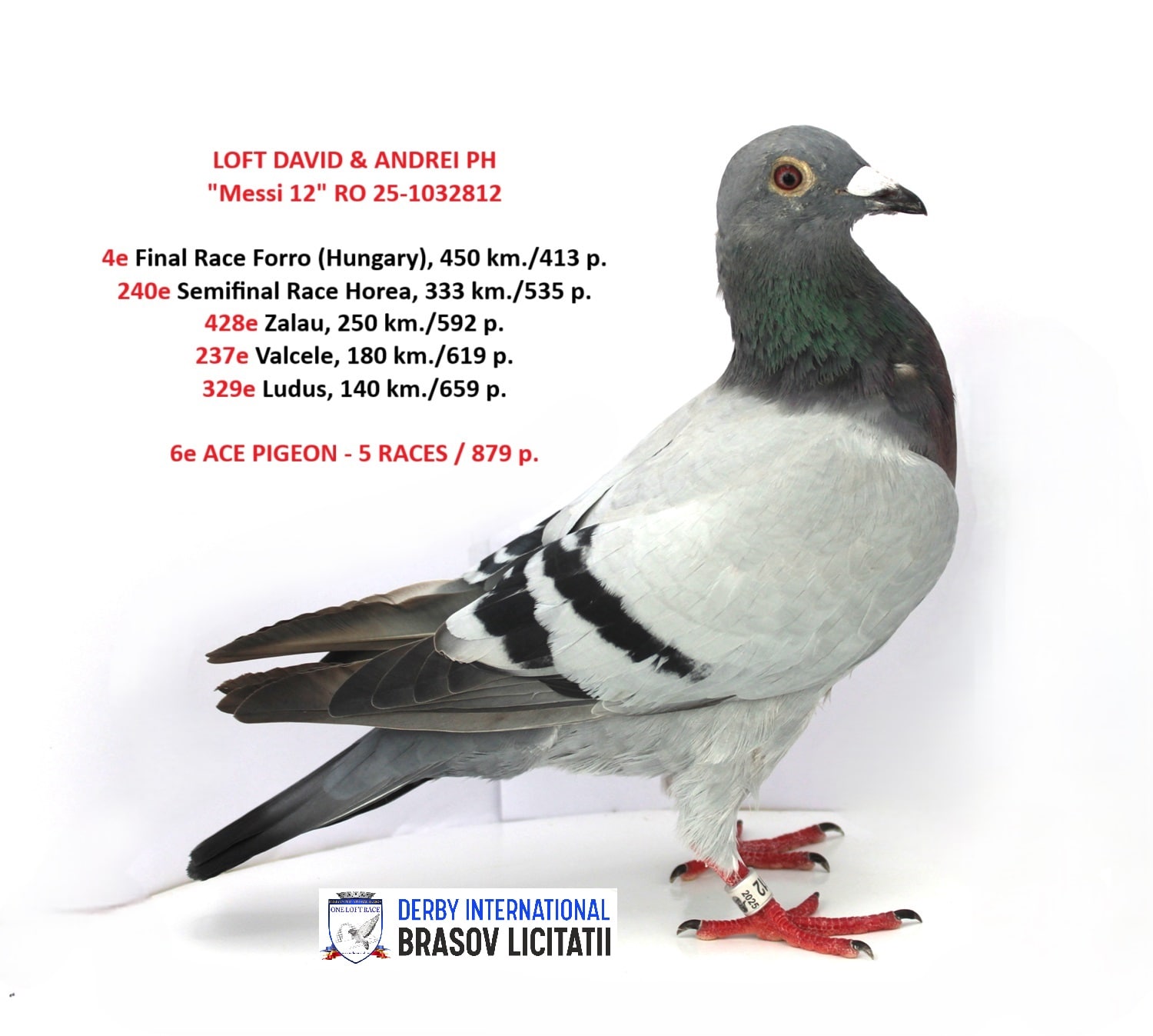 LOFT DAVID & ANDREI PH