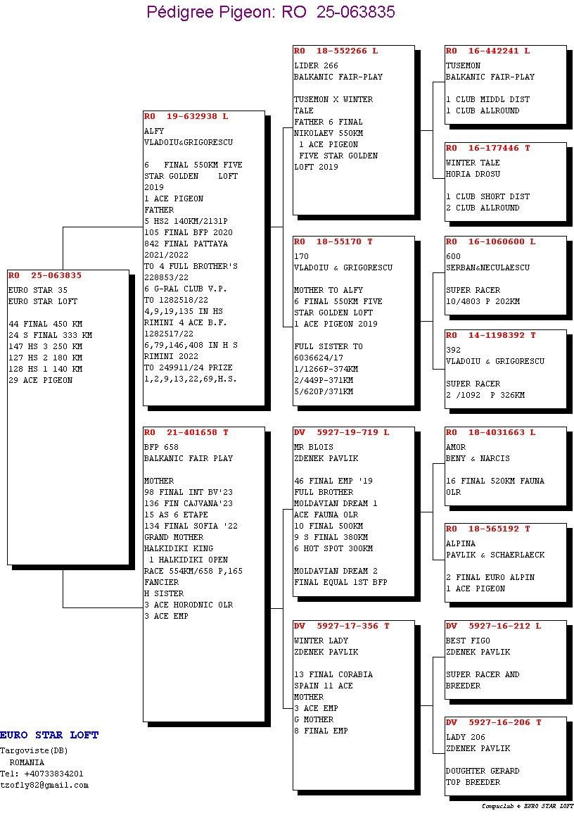 EURO STAR LOFT - Image 2