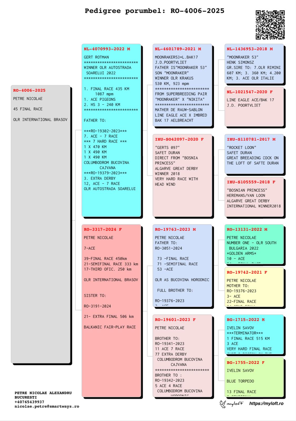 PETRE NICOLAE - Image 2