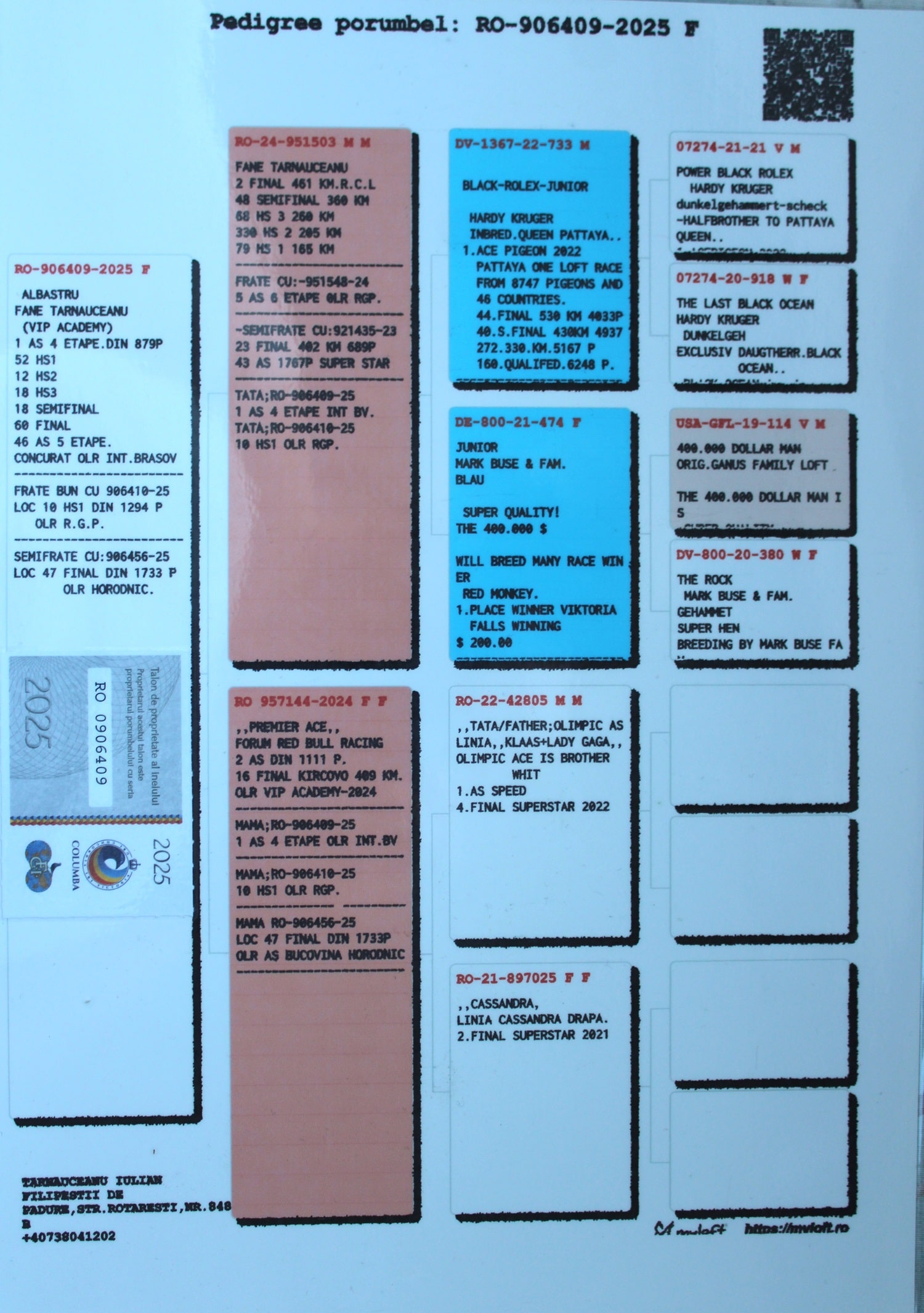 VIP ACADEMY - Image 2