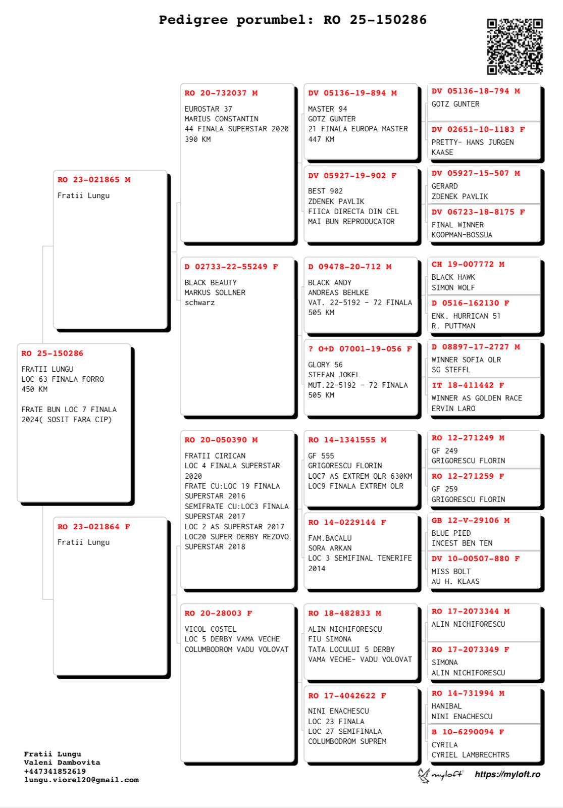 FRATII LUNGU - Image 2