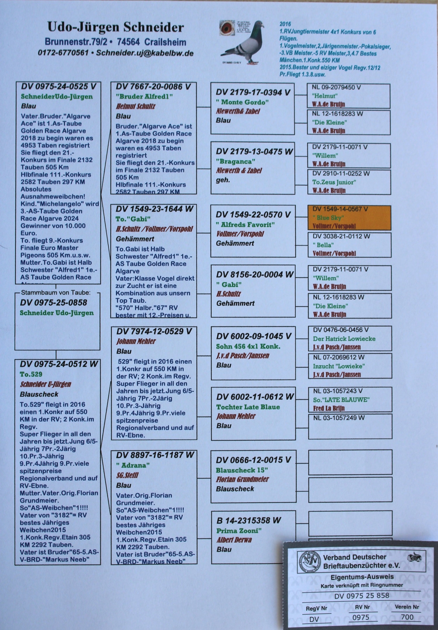 SCHNEIDER UDO-JURGEN - Image 2