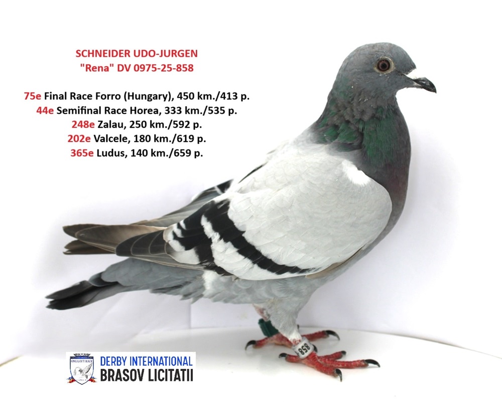 SCHNEIDER UDO-JURGEN