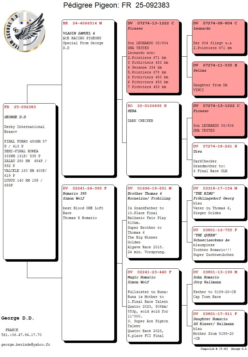 TEAM GEORGE D.D. - Image 2