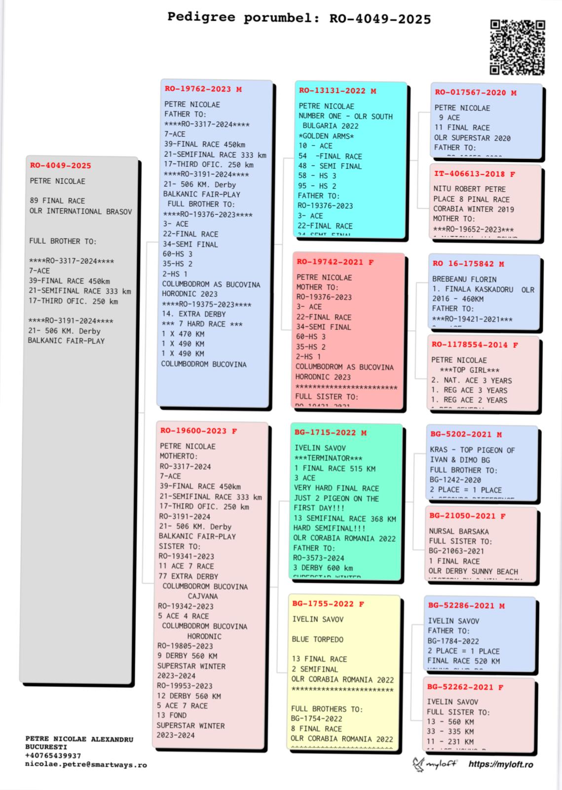 PETRE NICOLAE - Image 2
