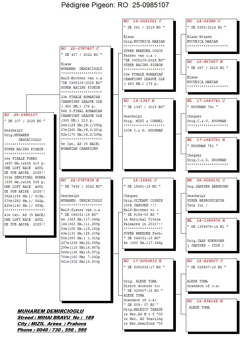 OLR ASUL DE SUB ARIPA - Image 2
