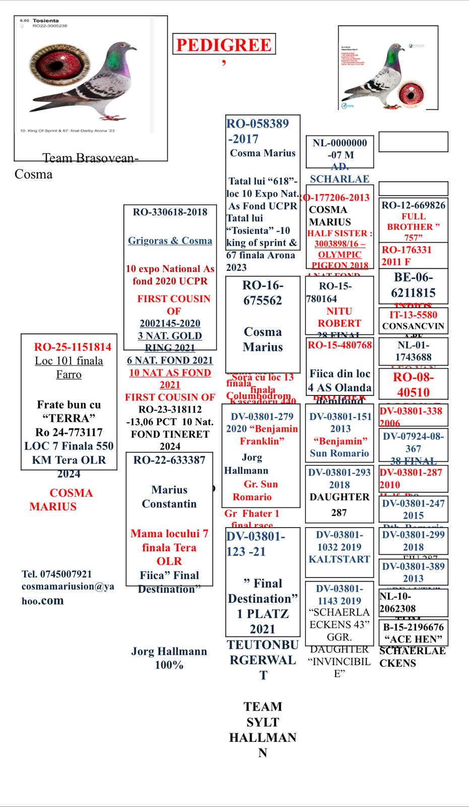 BRASOVEAN & COSMA - Image 2