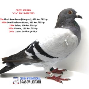CRISTI SERBAN