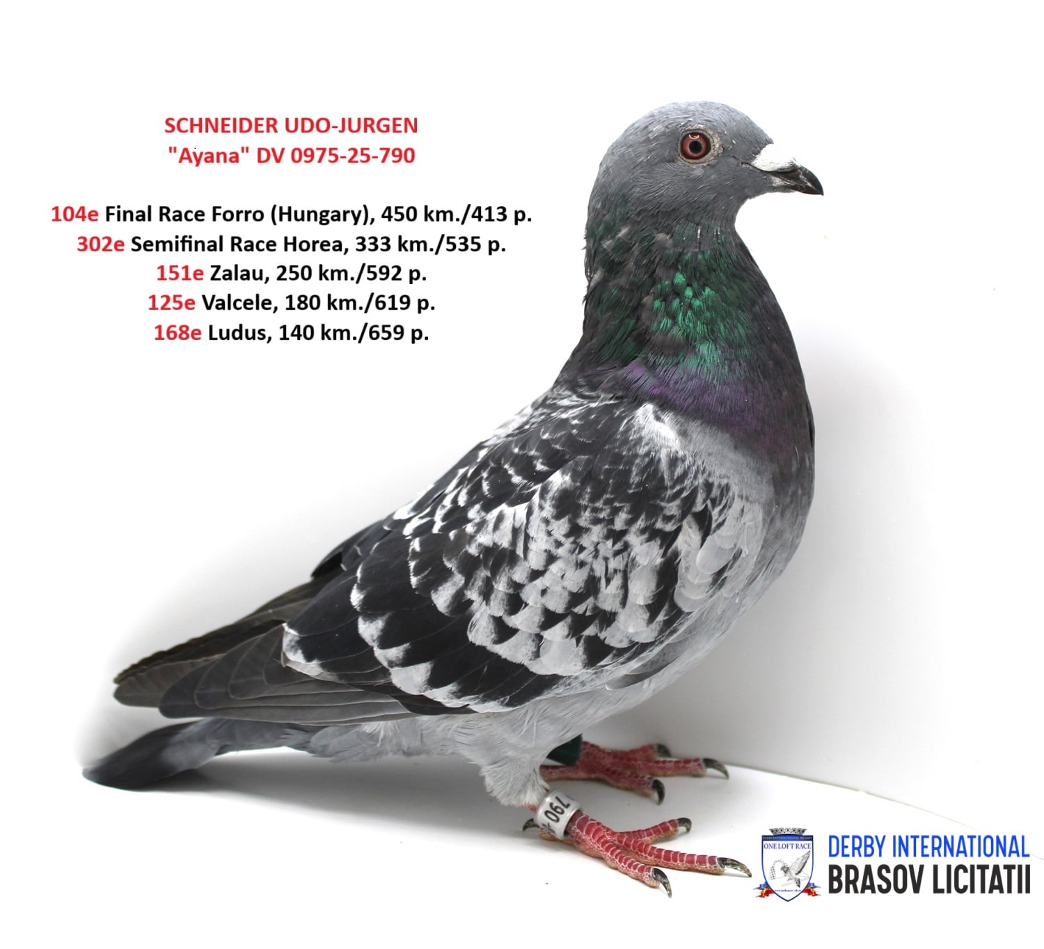 SCHNEIDER UDO-JURGEN