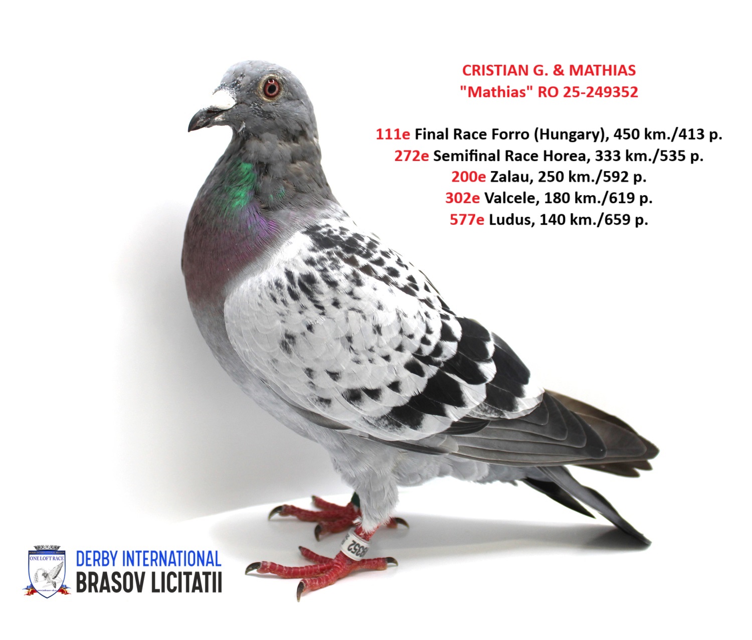 CRISTIAN G. & MATHIAS