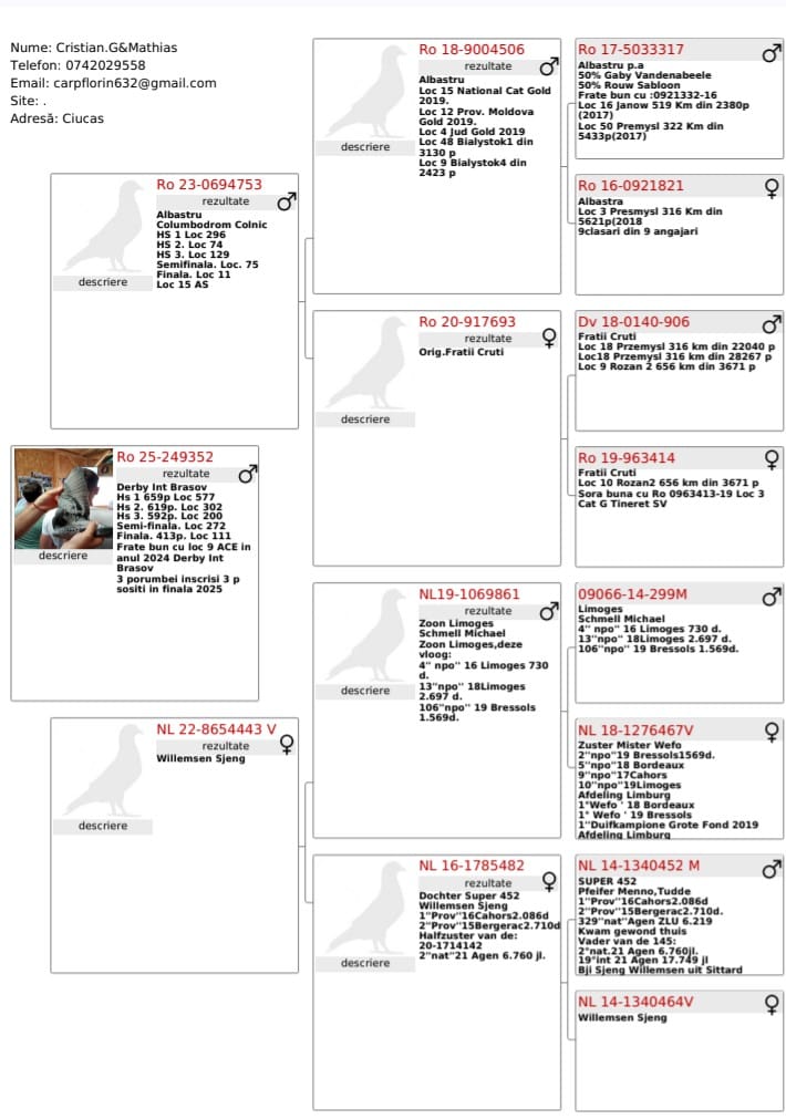 CRISTIAN G. & MATHIAS - Image 2