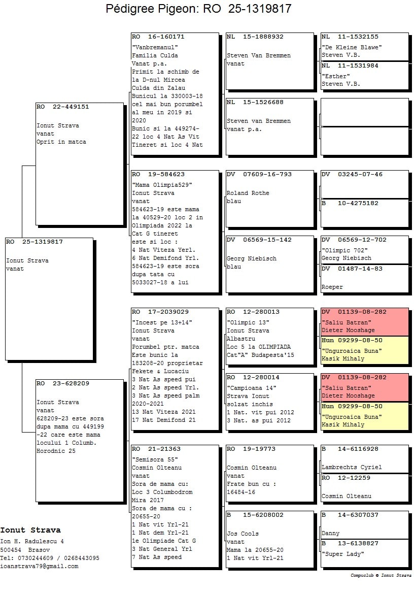 RO 25-1319817 - Image 2