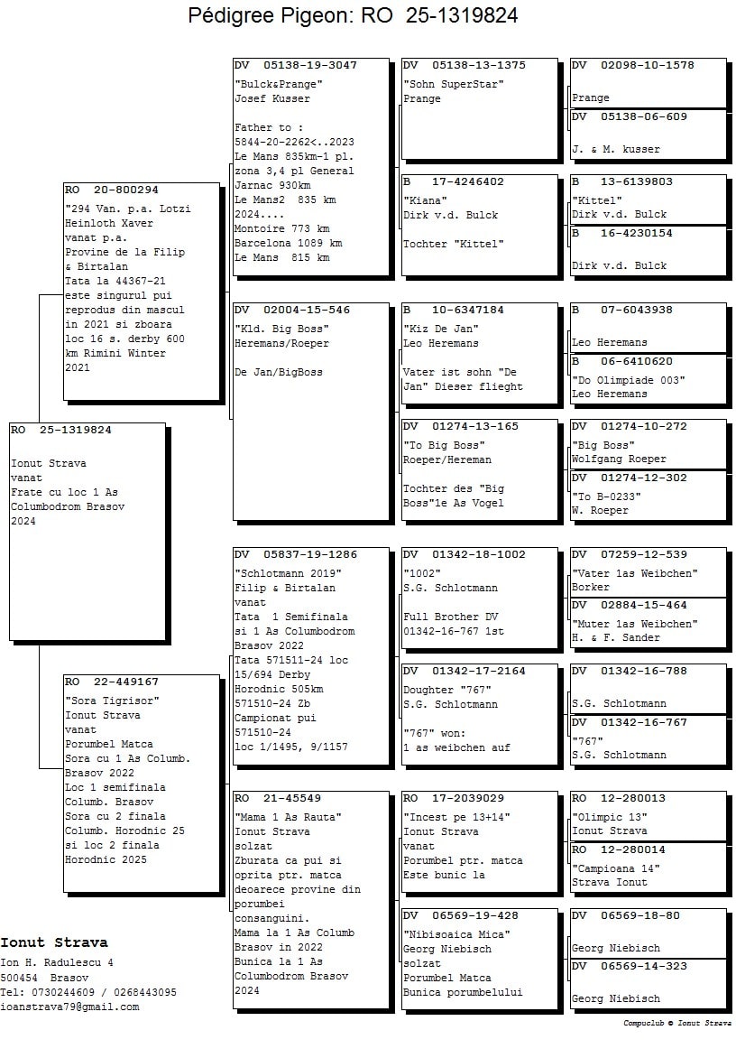 RO 25-1319824 - Image 2