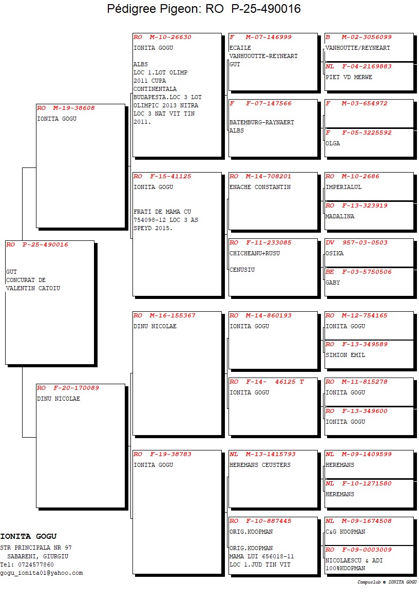 VALENTIN CATOIU - Image 2