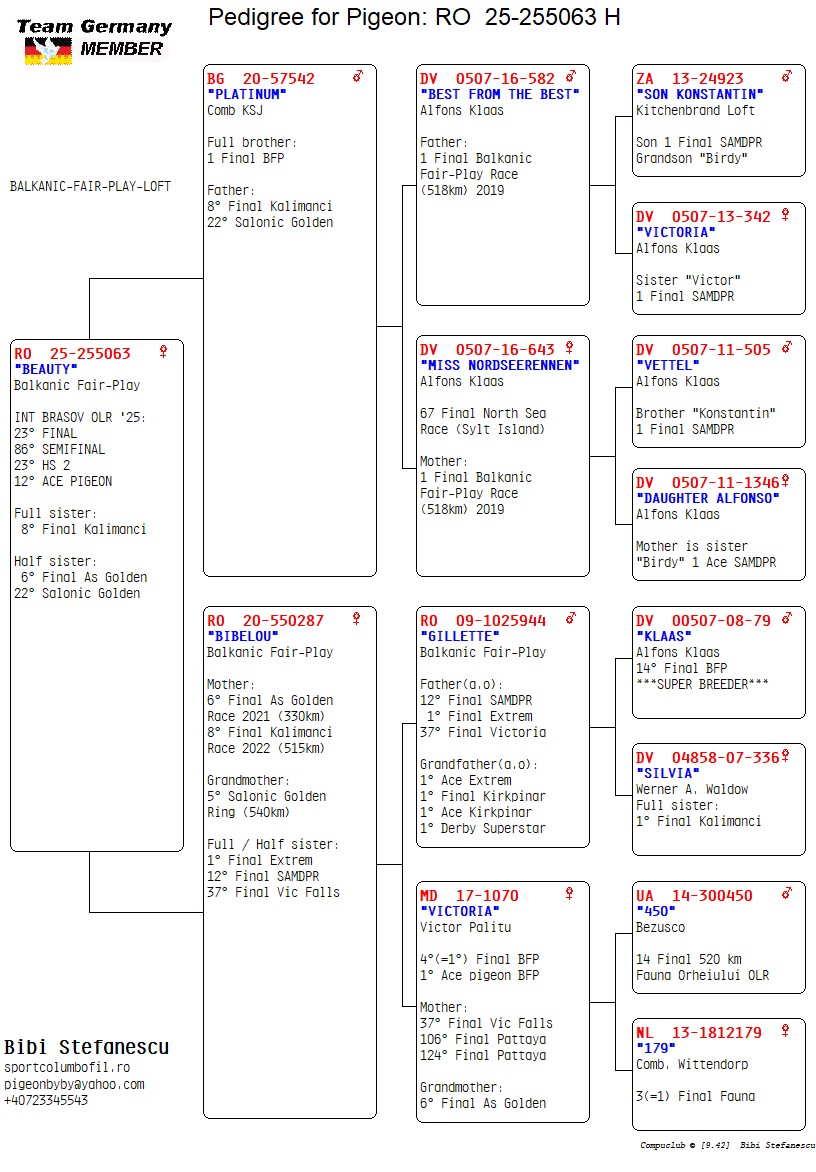 B.F.P.- BIBI STEFANESCU - Image 2