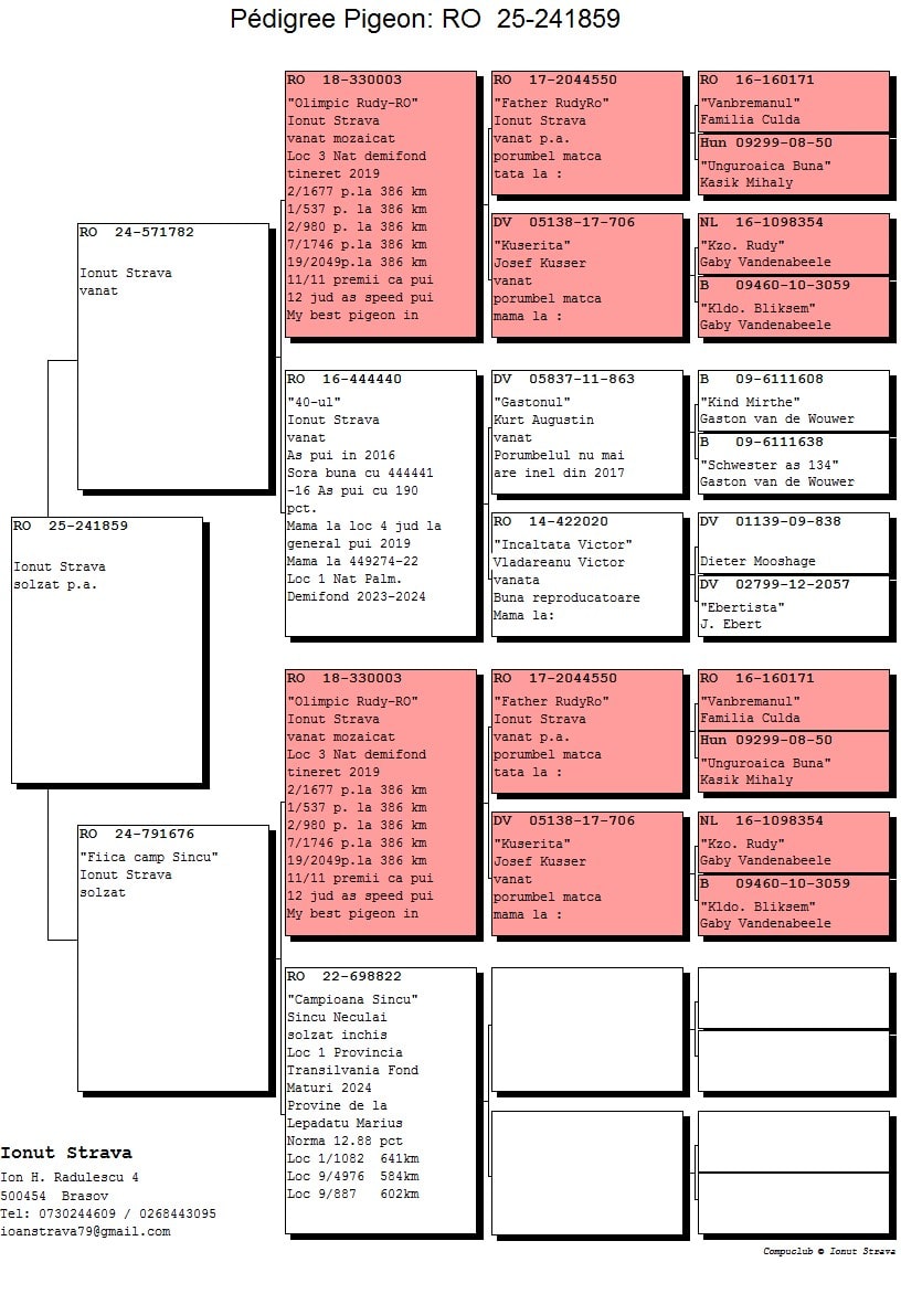 RO 25-0241859 - Image 2