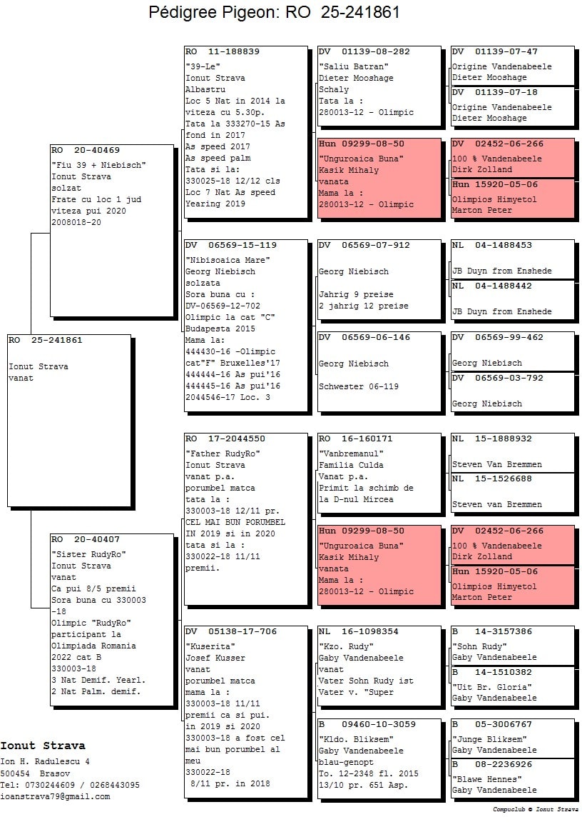 RO 25-0241861 - Image 2