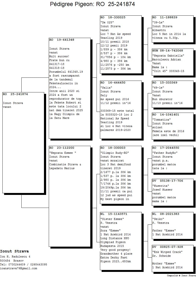 RO 25-0241874 - Image 2