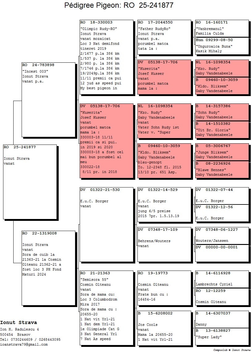 RO 25-0241877 - Image 2