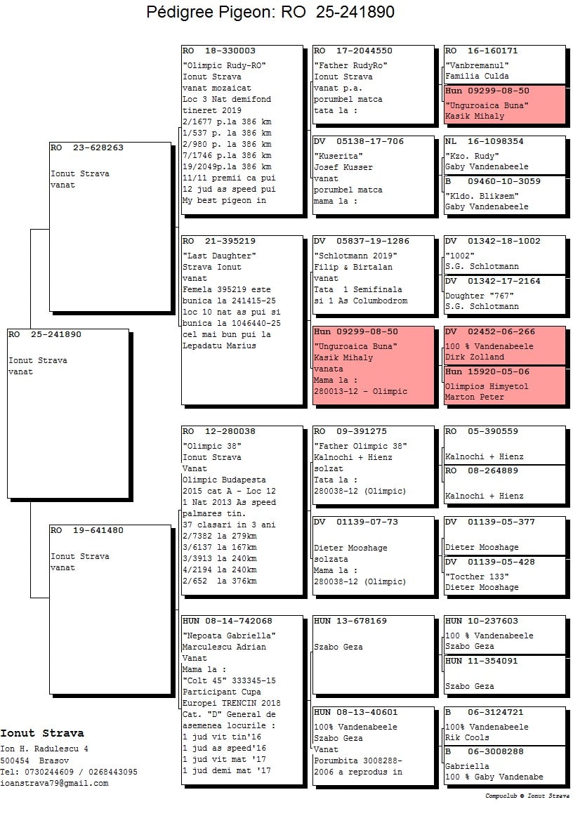 RO 25-0241890 - Image 2