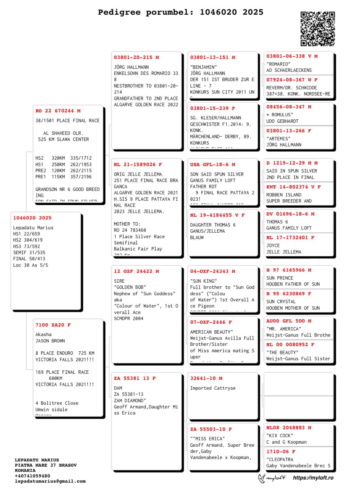 LEPADATU MARIUS - Image 2