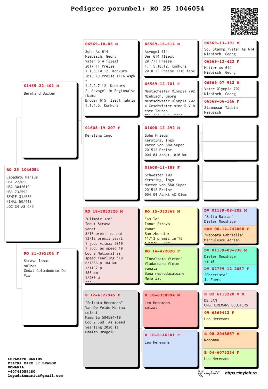 LEPADATU MARIUS - Image 2