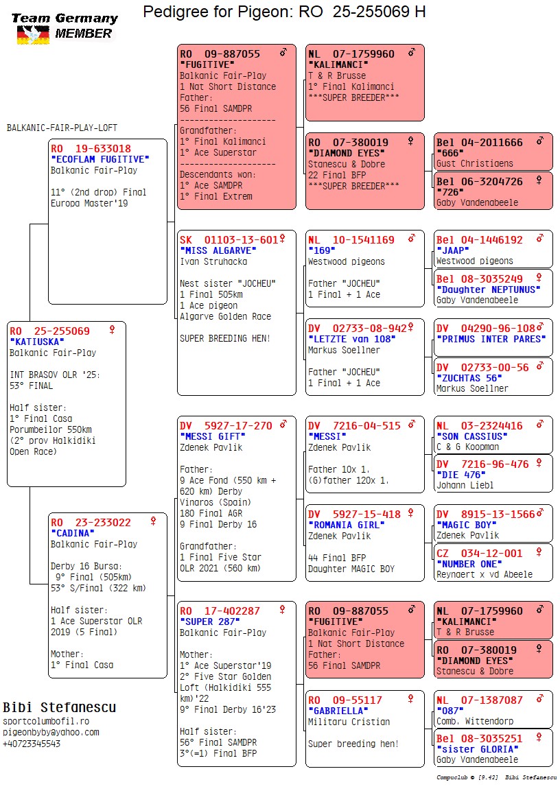 B.F.P. – BIBI STEFANESCU - Image 2