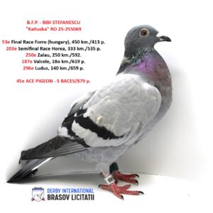 B.F.P. - BIBI STEFANESCU