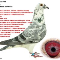 PETAR & KIRIL RAPONSKI - Image 3