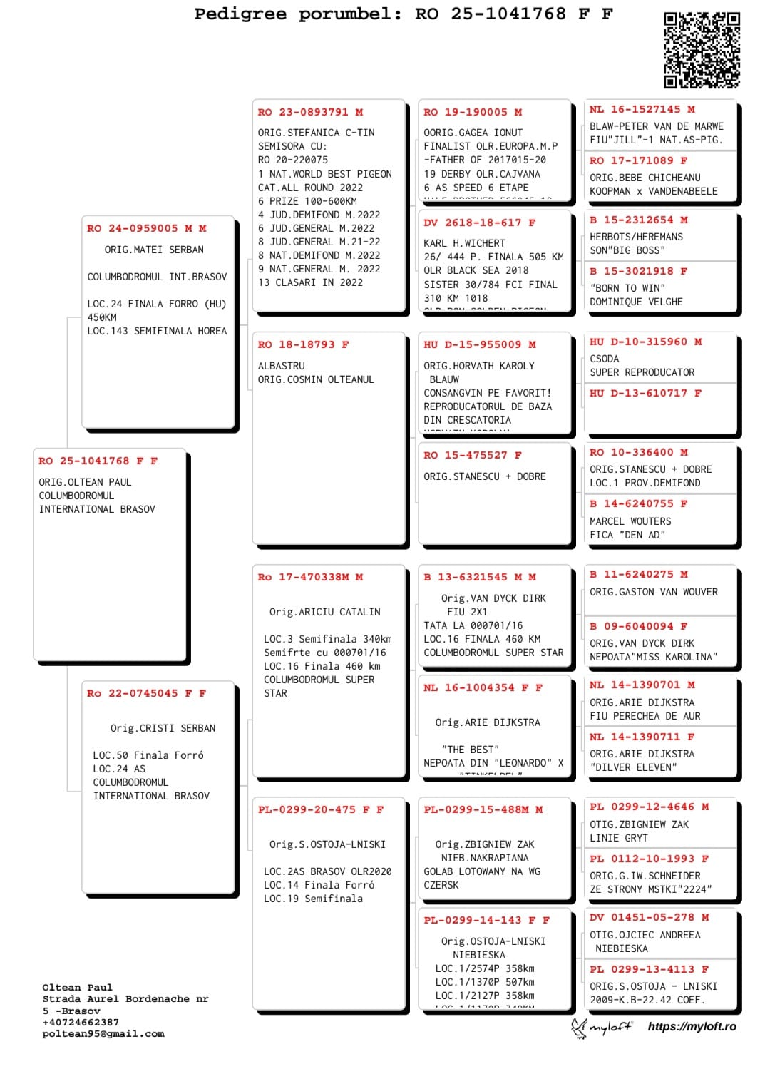 OLTEAN PAUL - Image 2