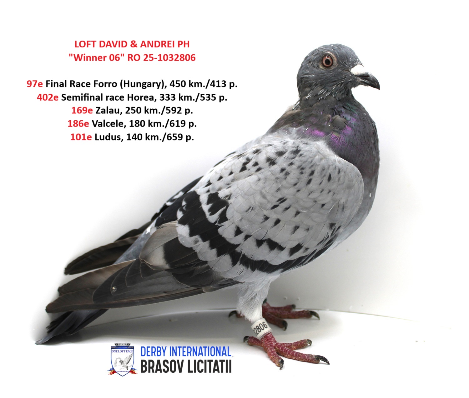 LOFT DAVID & ANDREI PH