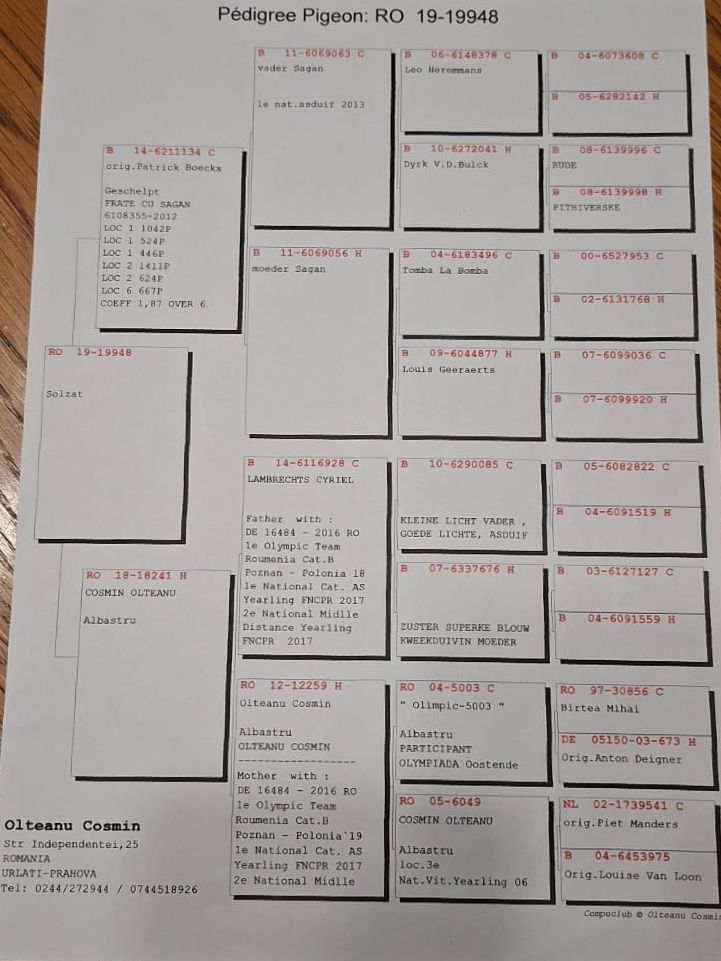 CRISTI SERBAN - Image 4