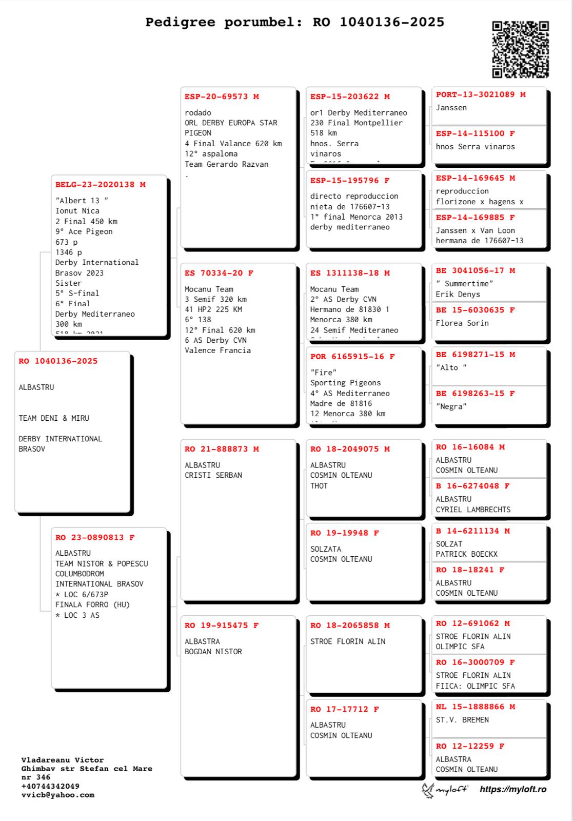 TEAM DENI & MIRU - Image 2