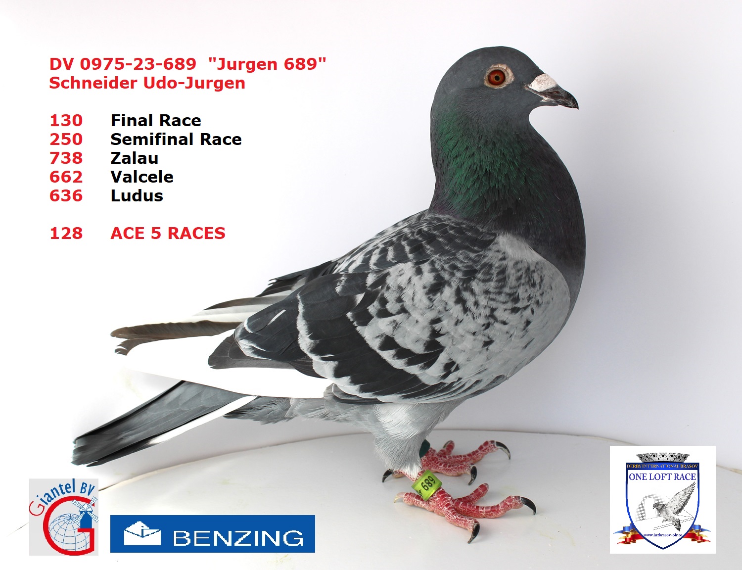 DV 00975-23-689 – MASCUL - Image 3