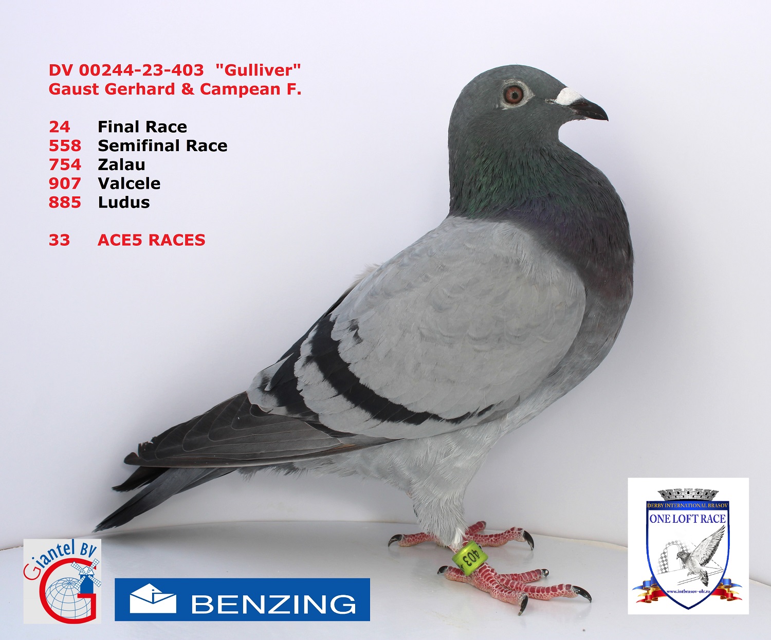 DV 00244-23-403 – FEMELA - Image 3