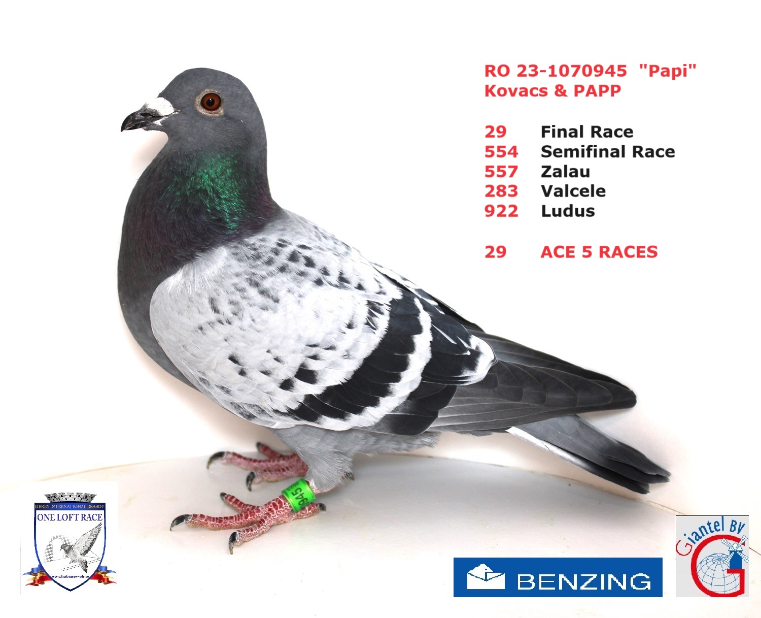 RO 23-1070945 – MASCUL - Image 3