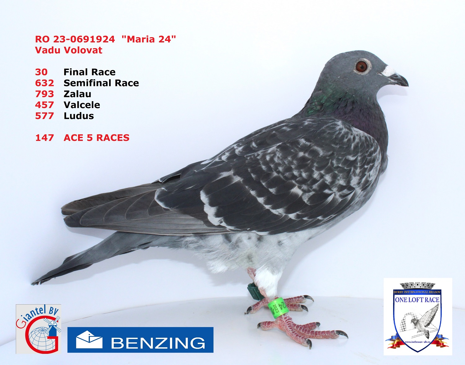 RO 23-0691924 – MASCUL - Image 3