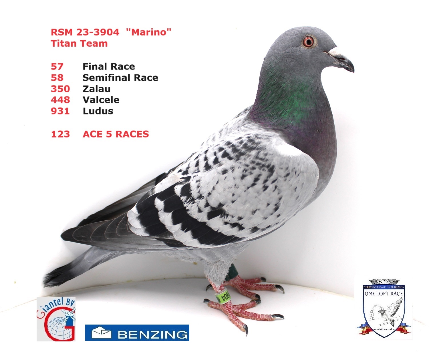 RSM 23-3904 – FEMELA - Image 3