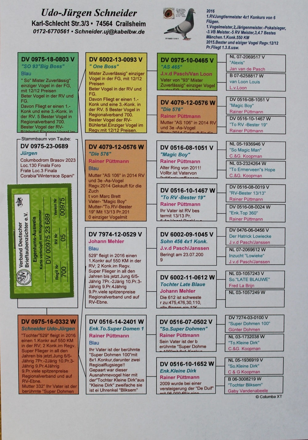 DV 00975-23-689 – MASCUL - Image 2