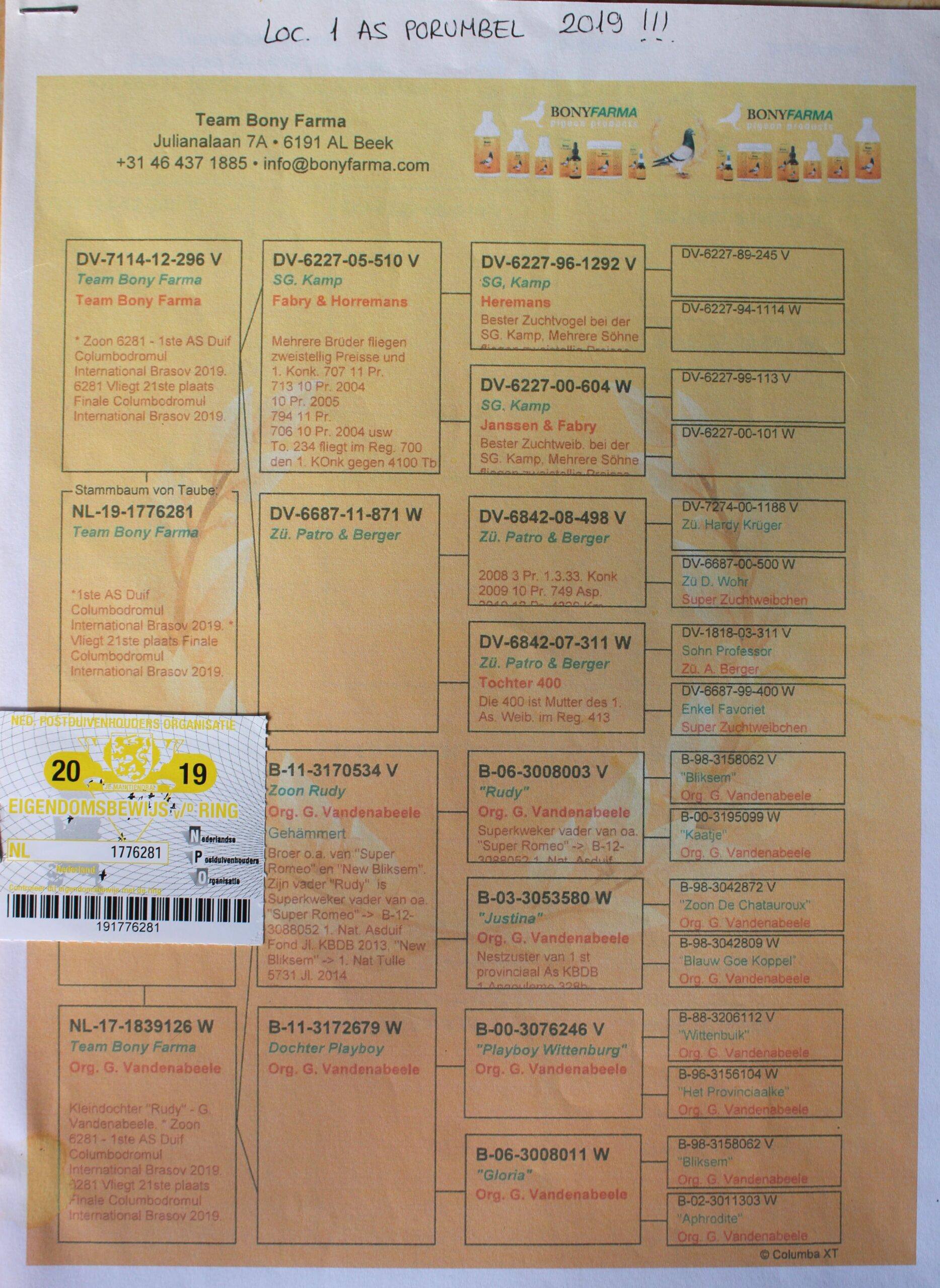 NL 19-1776281 – MASCUL - Image 2