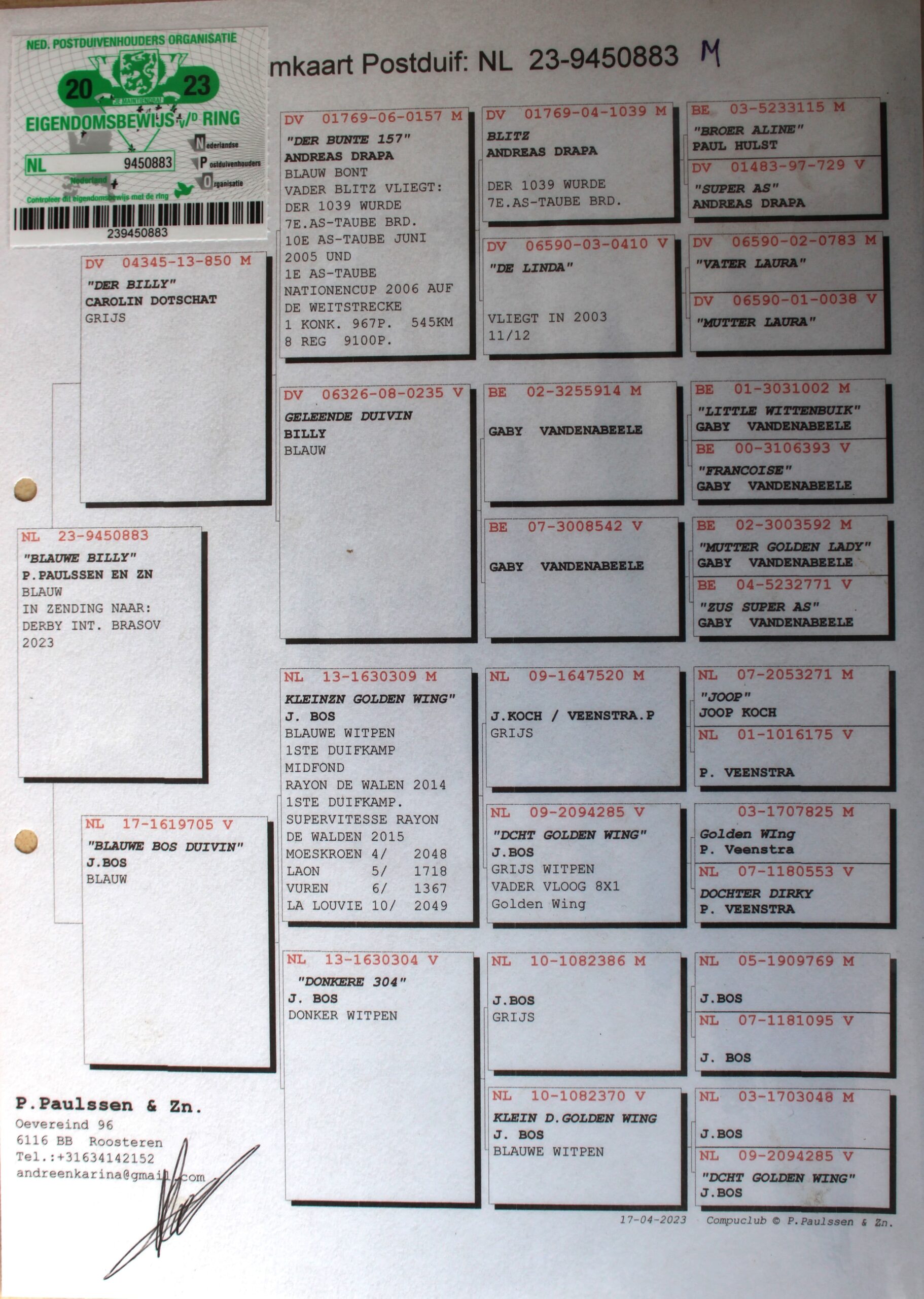 NL 23-9450883 – MASCUL - Image 2