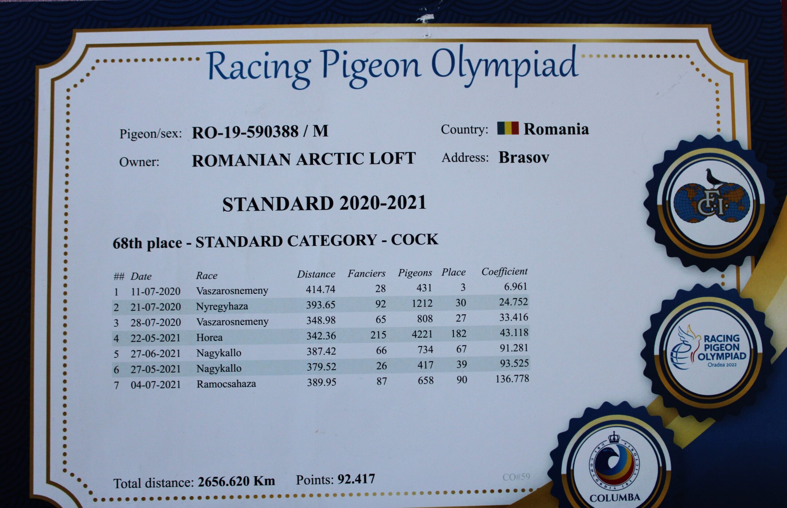 RO 19-0590388- MASCUL - Image 4